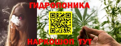 метадон Новодвинск